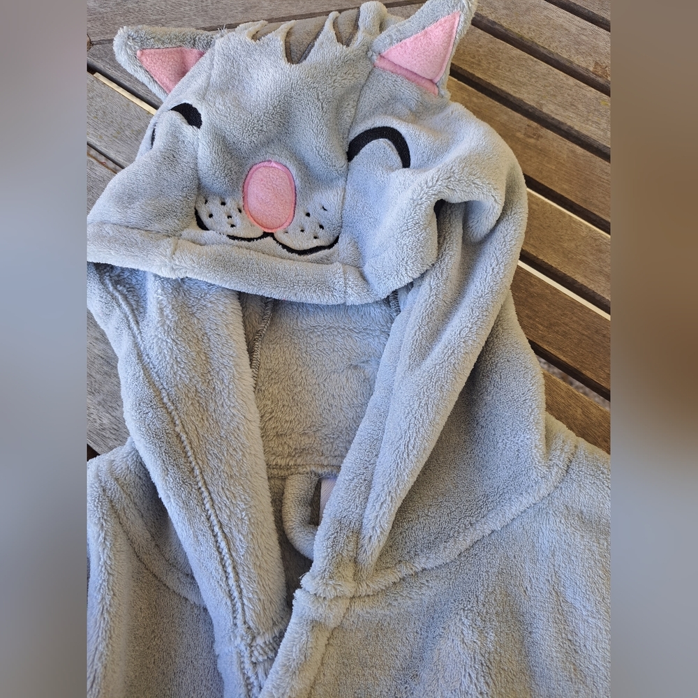 Big Bang Theory Robe - image 2